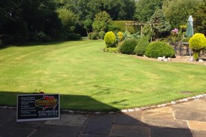 Landscaping & Lawn