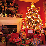 Christmas Trees Gallery 4